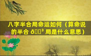 八字半合局命运如何（算命说的半合 🐳 局是什么意思）